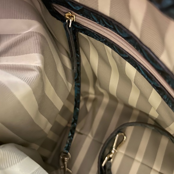 Brahmin Bird of Paradise Bradilia - Picture 13 of 13